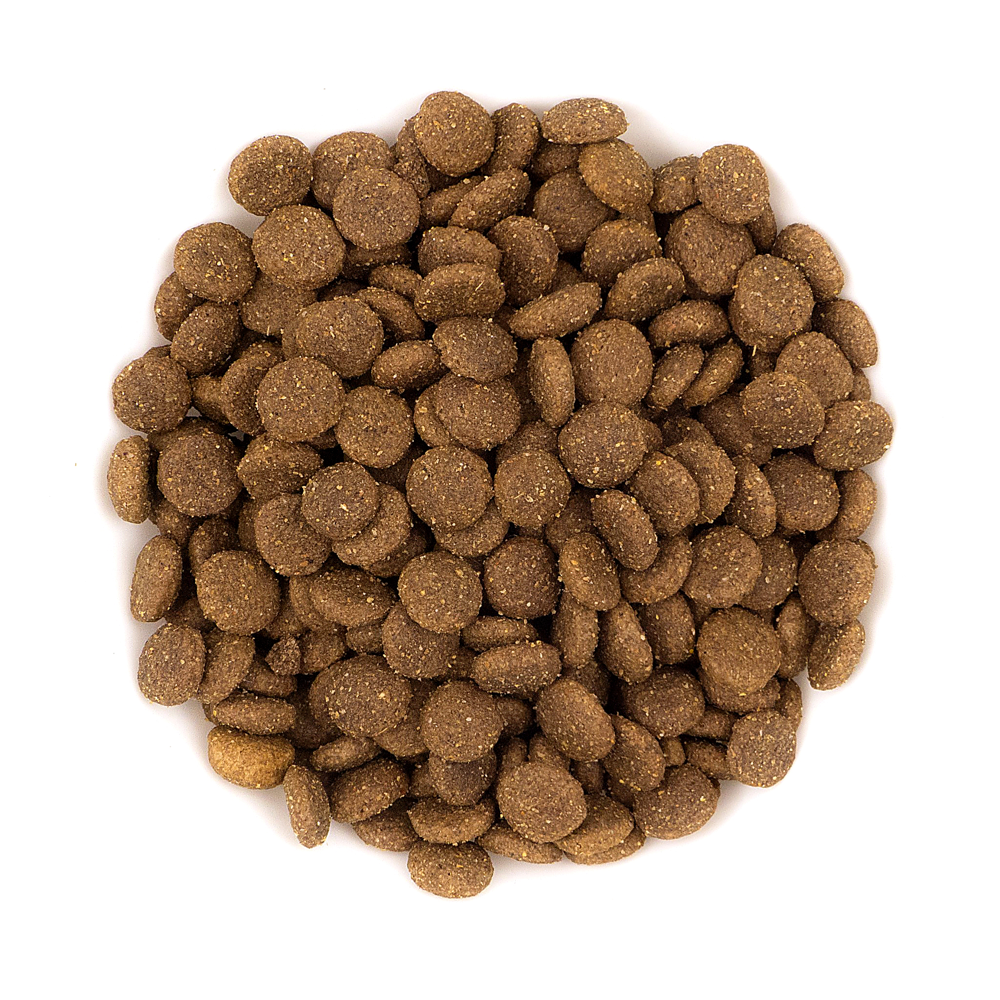 Avantis Performance kibble