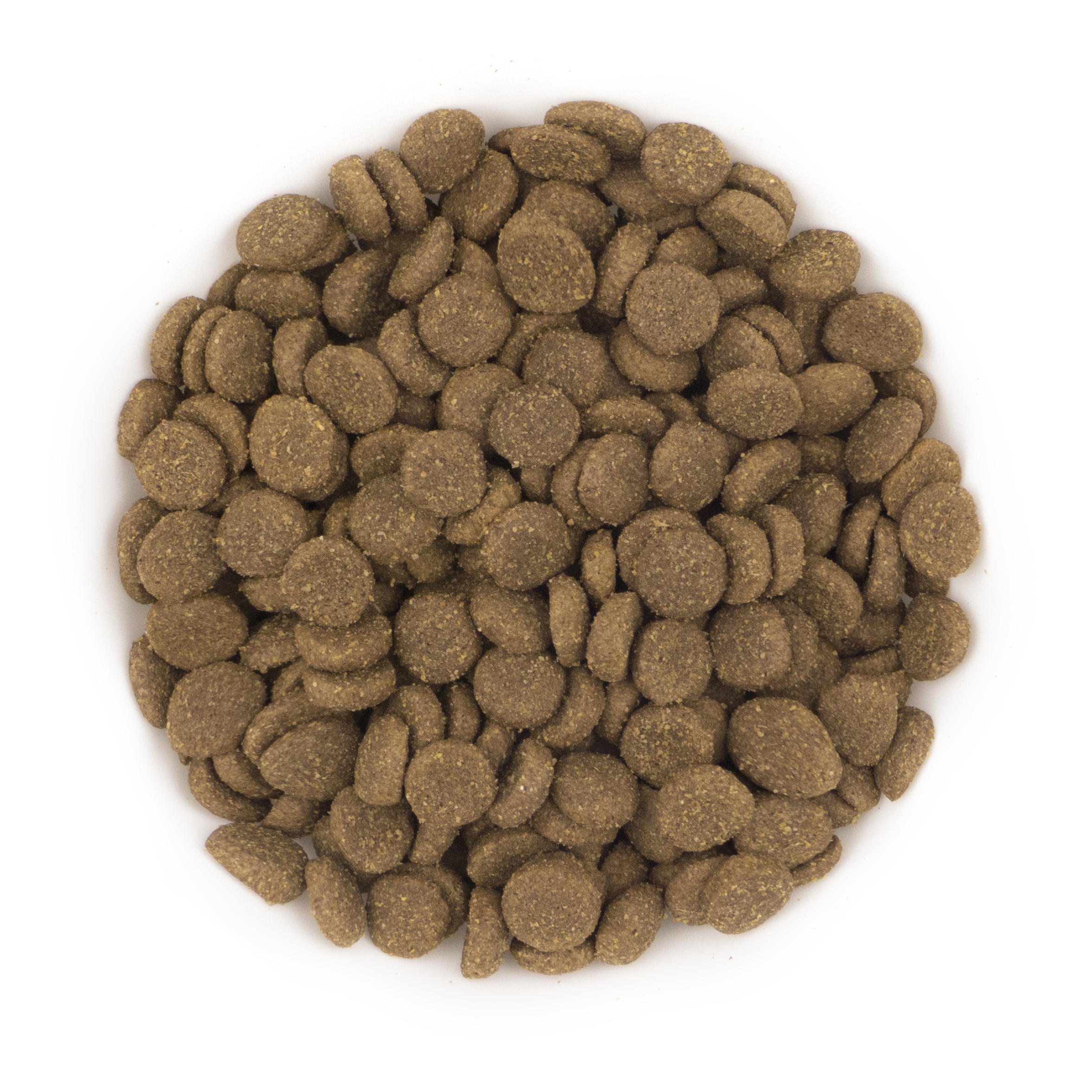 Pure Adventure Puppy Large kibble